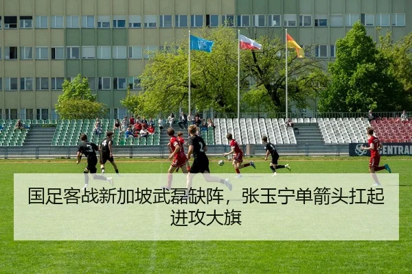 国足客战新加坡武磊缺阵，张玉宁单箭头扛起进攻大旗