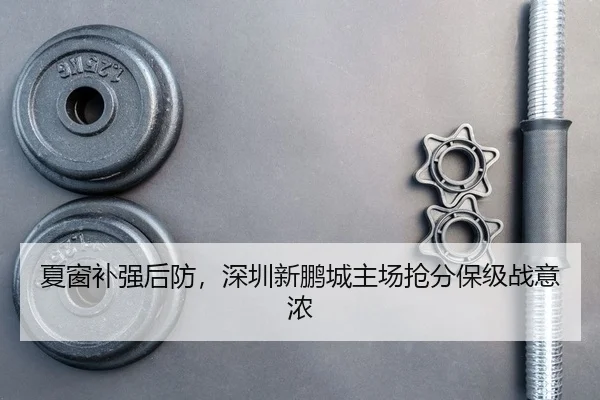xia-chuang-bu-qiang-hou-fang-shen-zhen-xin-peng-cheng-zhu-chang-qiang-fen-bao-ji-zhan-yi-nong-2-889.jpg